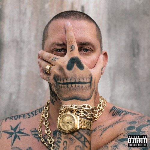 Seth Gueko - Professeur Punchline cover okladka.jpg
