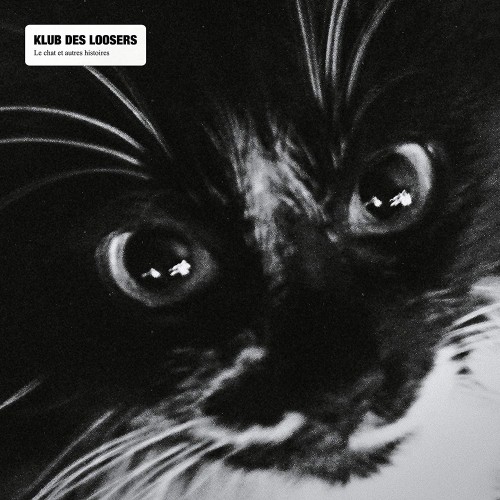 Klub des Loosers - Le Chat et Autres Histoires cover okladka.jpg