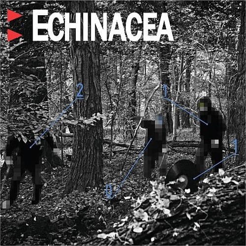 Echinacea - Echinacea cover okladka.jpg