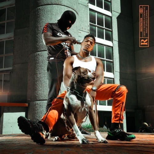 Niska - Mr Sal cover okladka.jpg