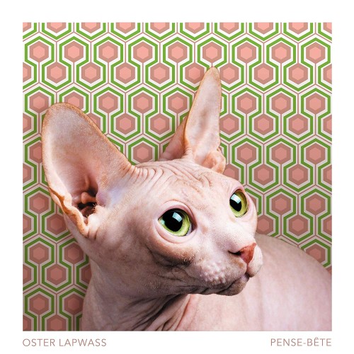 Oster Lapwass - Pense-Bête cover okladka.jpg