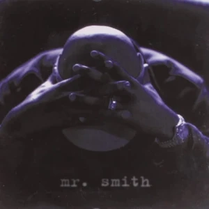 LL Cool J - Mr. Smith | Winyl