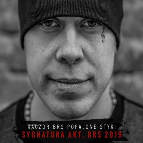 Kaczor Brs - Sygnatura akt. BRS 2019 cover okladka.jpg
