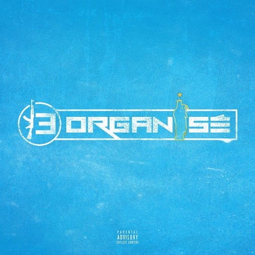 13 Organise  - 13 Organise cover okladka.jpg