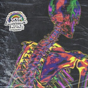 Genetikk - MDNA  | CD