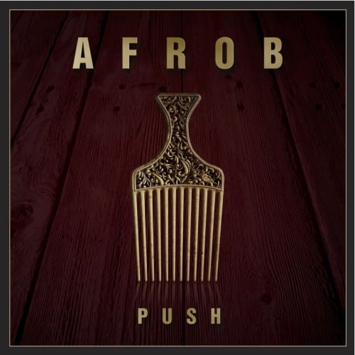 Push - Afrob cover okładka.jpg
