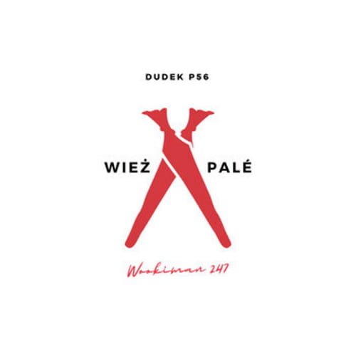 Dudek P56 ‎– Wieża Pale cover okładka.jpg