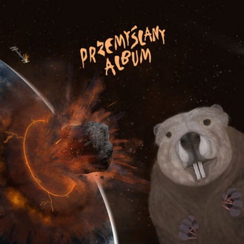 Bober – Przemyślany Album cover okładka.jpg