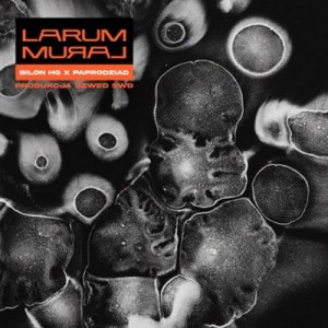 Larum (Bilon HG x Paprodziad x Szwed Swd) - Mural | CD