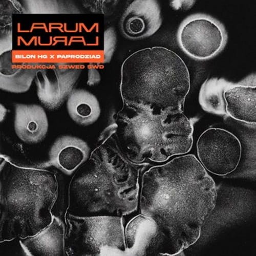 Larum (Bilon HG x Paprodziad x Szwed Swd) - Mural cover okładka.jpg