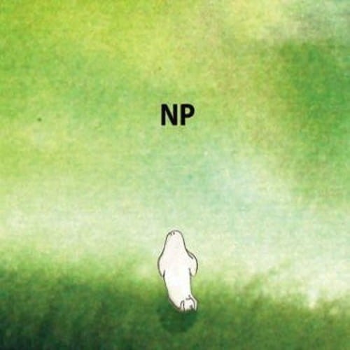 Napszykłat - NP cover okładka.jpg