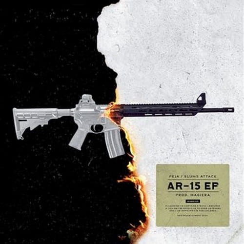Peja AR-15 cover okladka.jpg