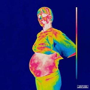 Brockhampton – Iridescence | Winyl