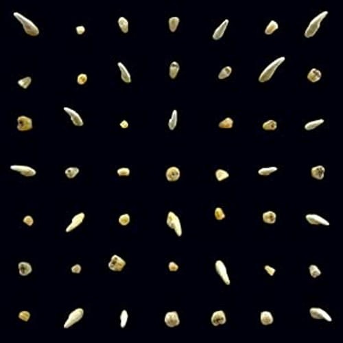 Clipping. – Visions Of Bodies Being Burned cover okładka.jpg