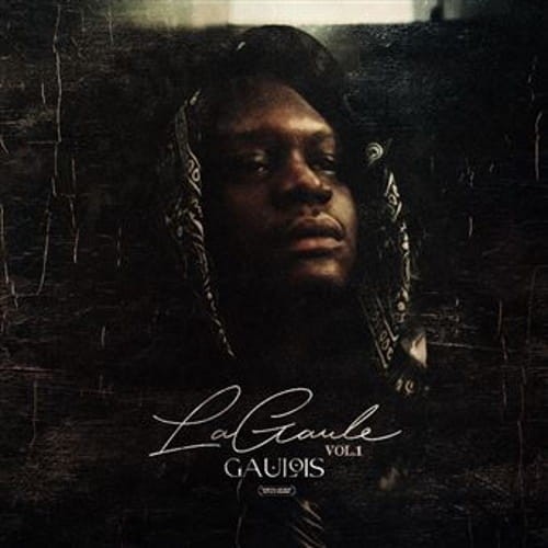 Gaulois - La Gaule Volume 1 cover okładka.jpg