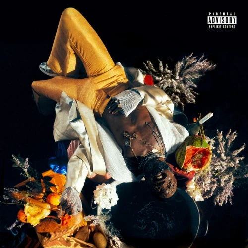 Kojey Radical - Cashmere Tears cover okładka.webp