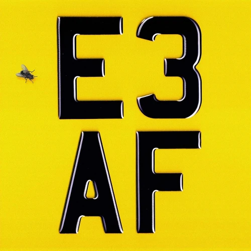Dizzee Rascal - E3 AF cover okładka.webp