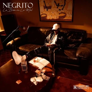 Negrito - Le Bien Ou Le Mal  | CD