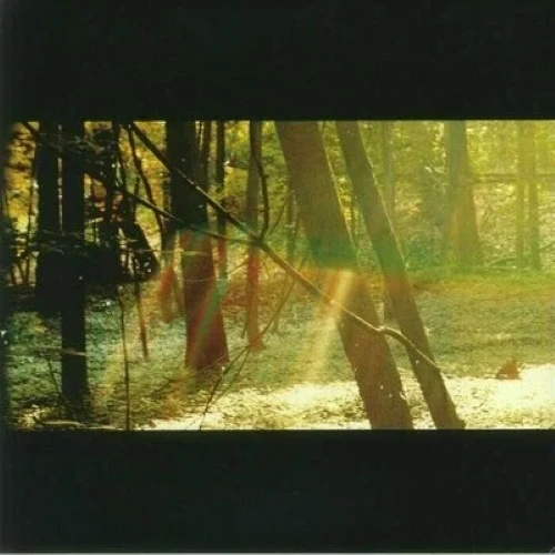 Childish Gambino - Camp cover okładka.webp