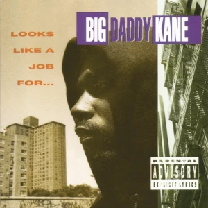 Big Daddy Kane - Looks Like A Job For... | CD
