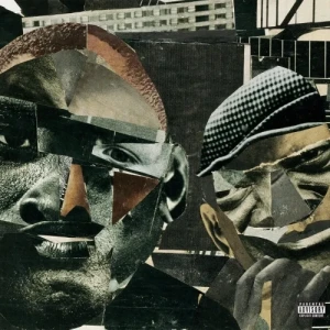 The Roots - ...And Then You Shoot Your Cousin | CD