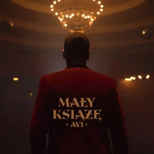 Avi - Mały Książę | Winyl