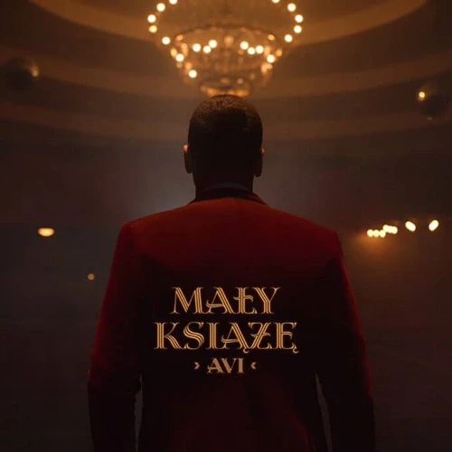 Avi - Maly Ksiaze cover okladka.webp
