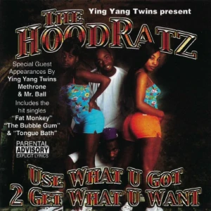 Ying Yang Twins & The Hoodratz - Use What U Got 2 Get What You Want | CD