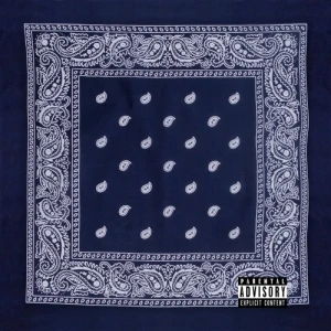 Blu & Shafiq Husayn - The Blueprint | CD