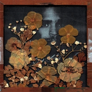 Busdriver - Fear Of A Black Tangent | CD