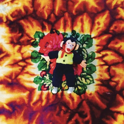 Hodgy - Fireplace TheNotTheOtherSide cover okładka.webp