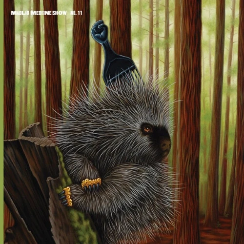 Madlib - Low Budget High Fi Music  cover okładka.webp
