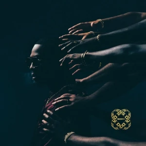 SDM - Liens Du 100 | CD