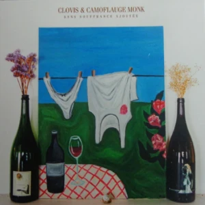 Clovis Ochin & Camoflauge Monk - Sans Souffrance Ajoutée | CD