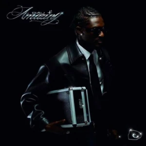 Dau - Amazing | Winyl
