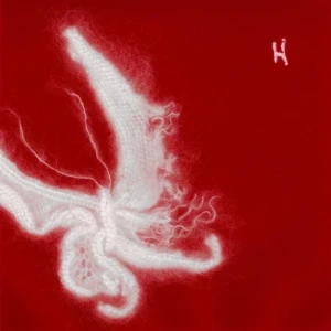 H JeuneCrack - 1er Mouvement | Winyl