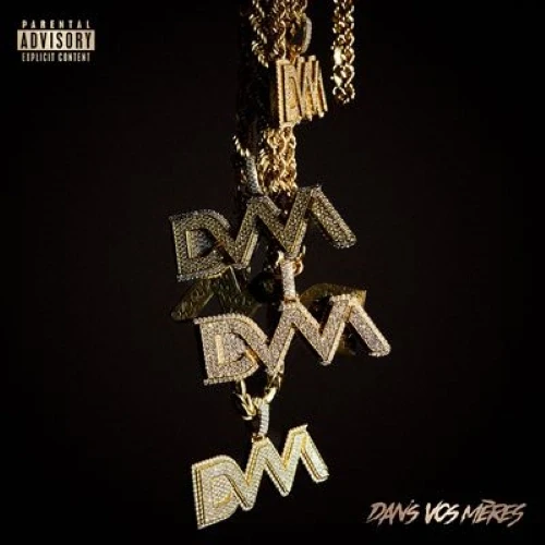 DVM - Dans vos mères cover okladka.webp