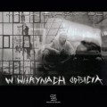 W witrynach odbicia - Masz i pomysl cover okladka.jpg