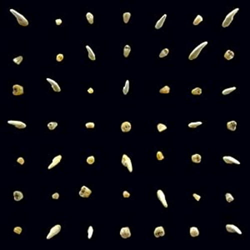 Clipping. – Visions Of Bodies Being Burned | Winyl