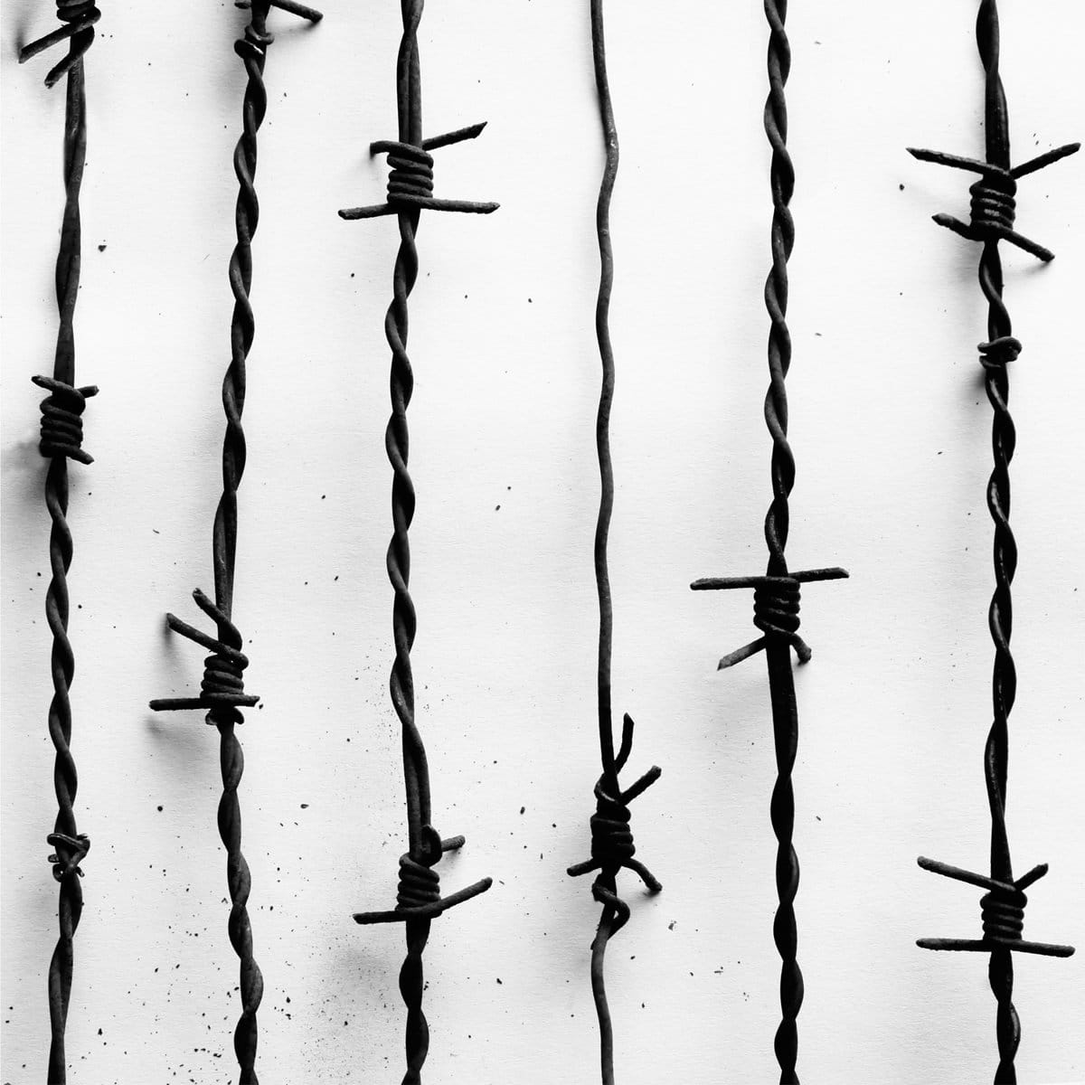 Casper - Lang Lebe der Tod | CD