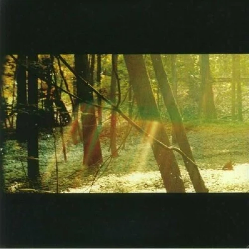 Childish Gambino - Camp | CD