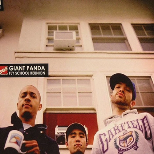 Giant Panda - Fly School Reunion | CD