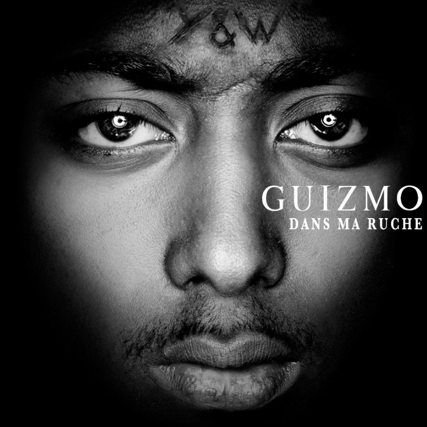 Guizmo - Dans Ma Ruche | CD